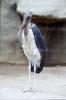San Diego Zoo